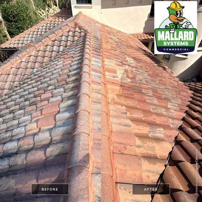 Tile Roof Cleaning