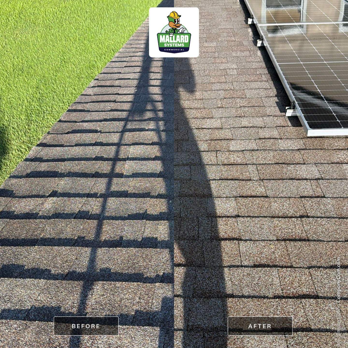 Asphalt Shingle Roof Cleaning for Winter Garden Residential Property by Mallard Systems