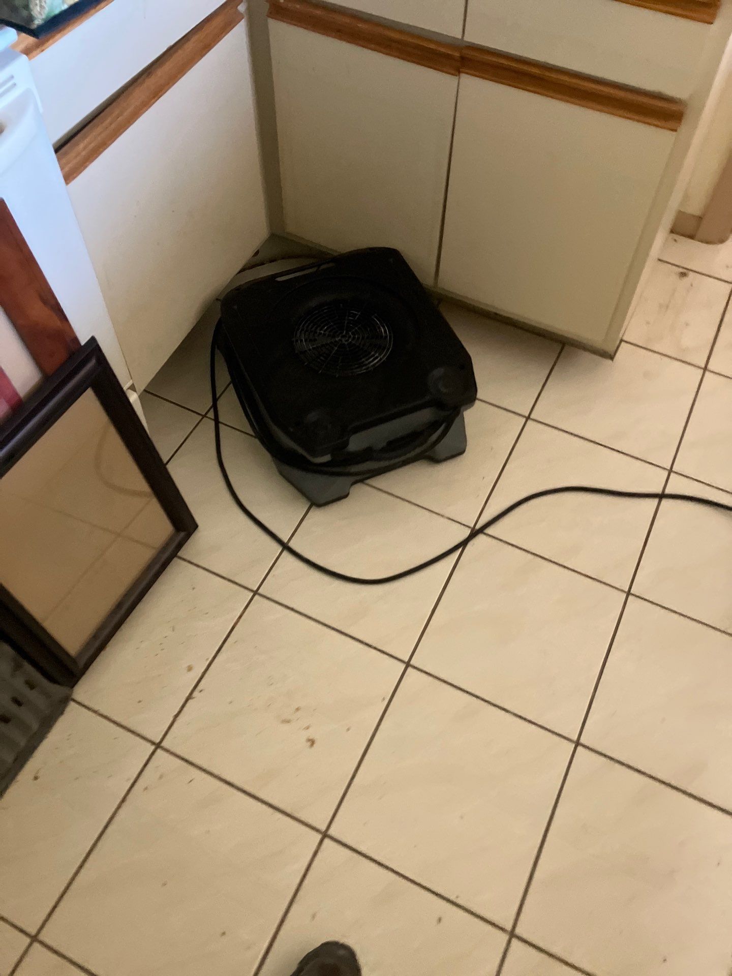 St. Pete Water Damage Mitigation by Ampm Restoration Services