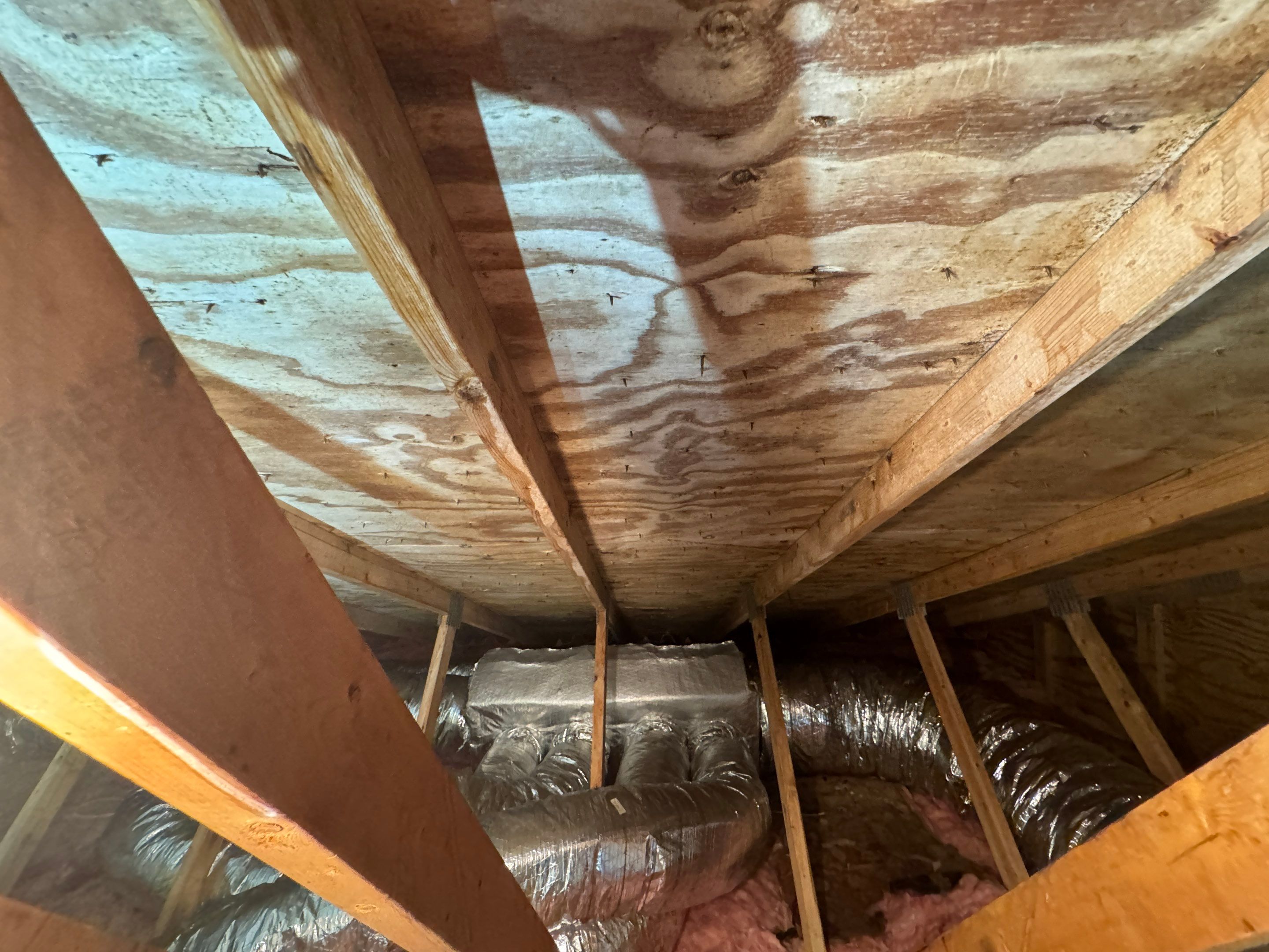 Attic Mold Remediation by Home Guarantee, LLC