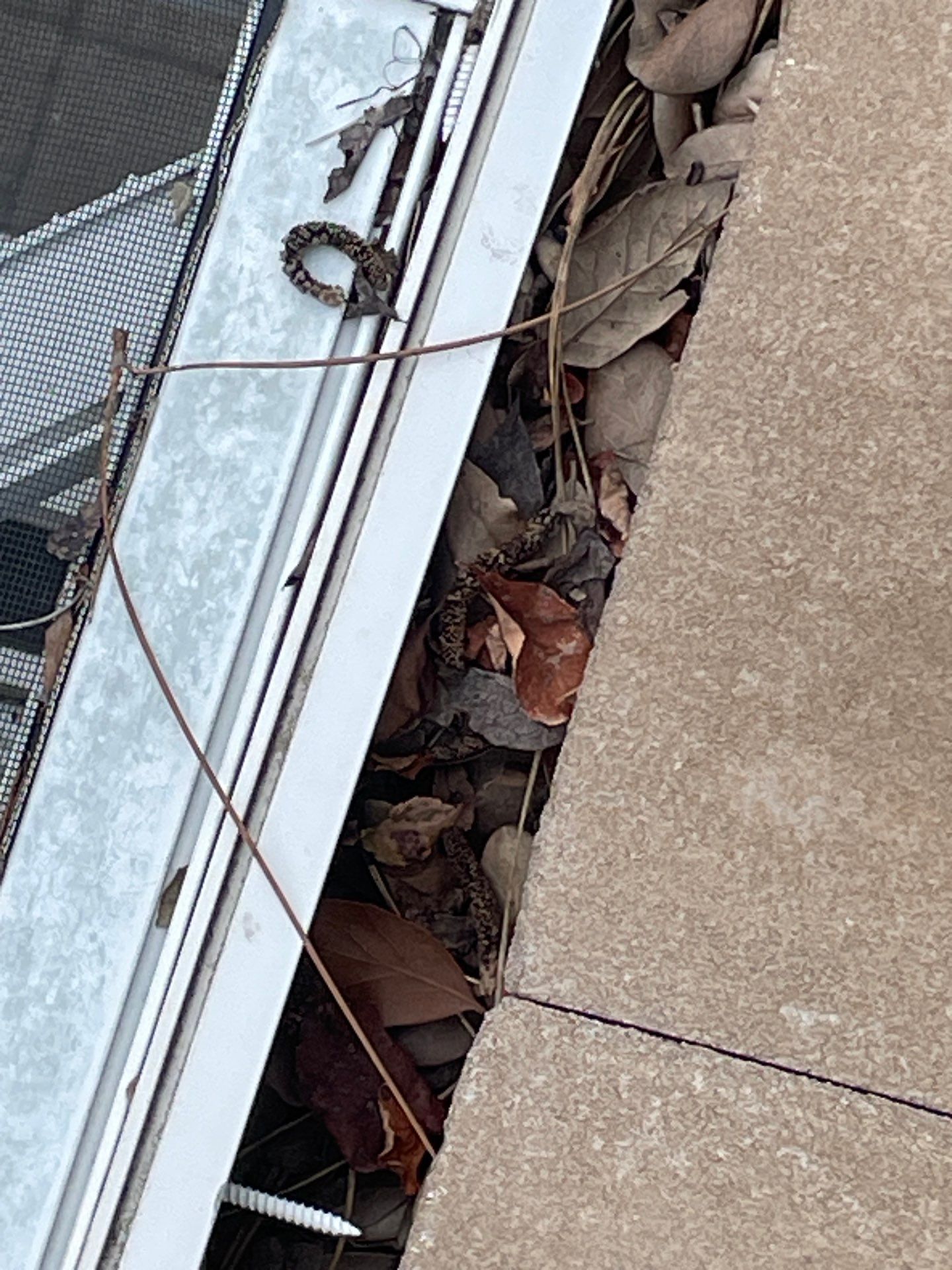 Gutter Cleaning using gutter cleaning in Sarasota FL by Gutter Professors