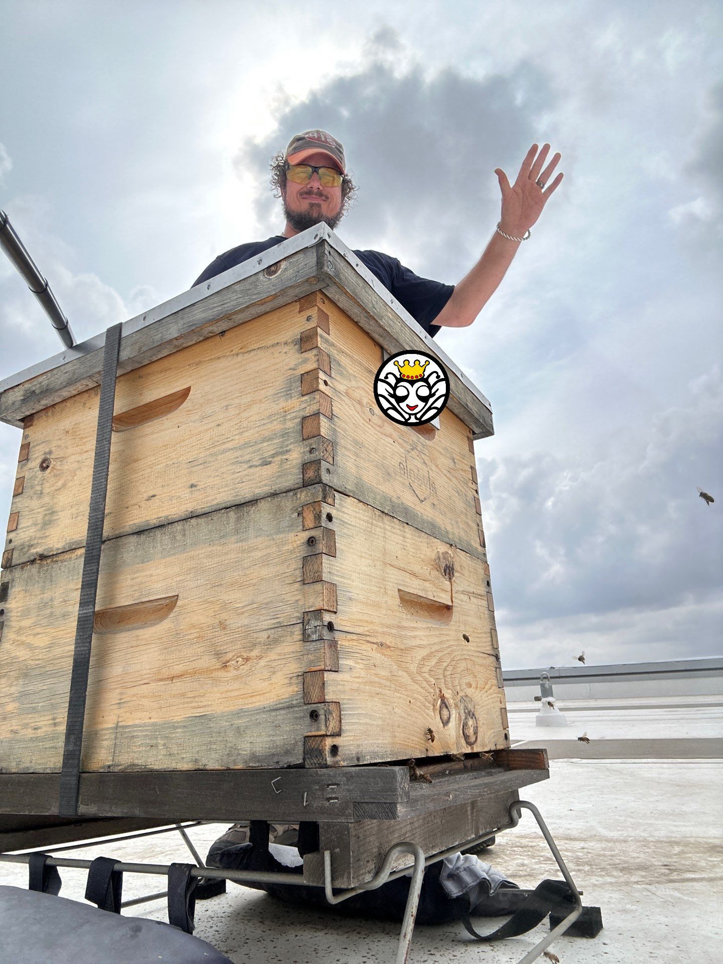 Rooftop Bees in Frisco by Rockwall Honey Bee Company