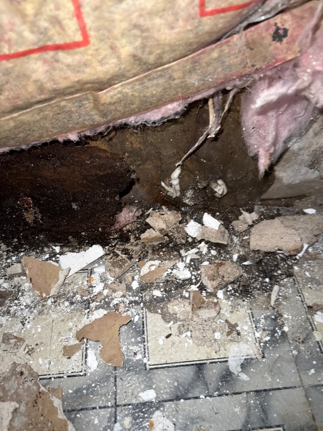 Mold Remediation Project by Chicagoland Water Medics