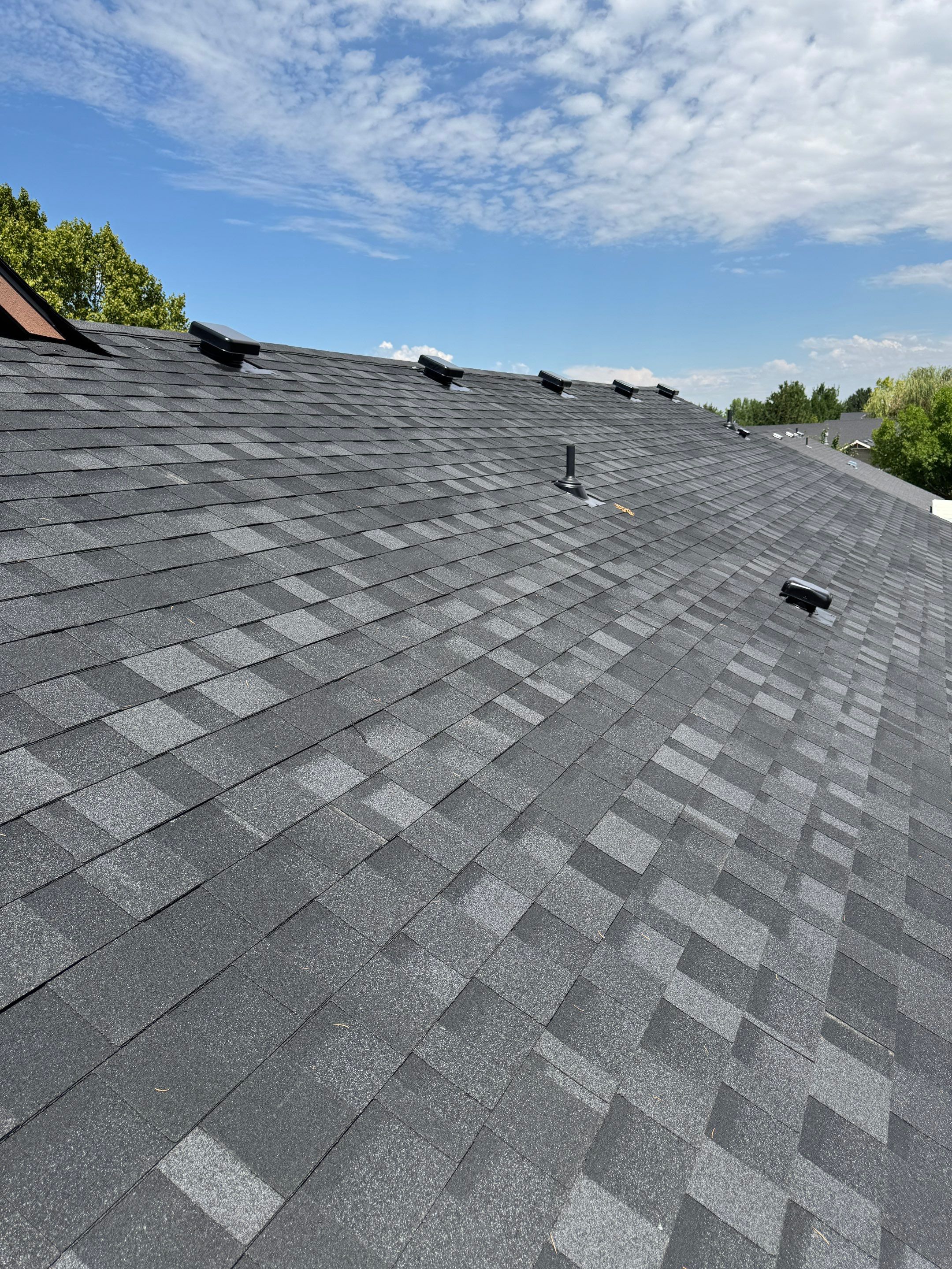 Residential Roof Replacement Featuring Charcoal Grey Architectural Shingles by Olive Roofing