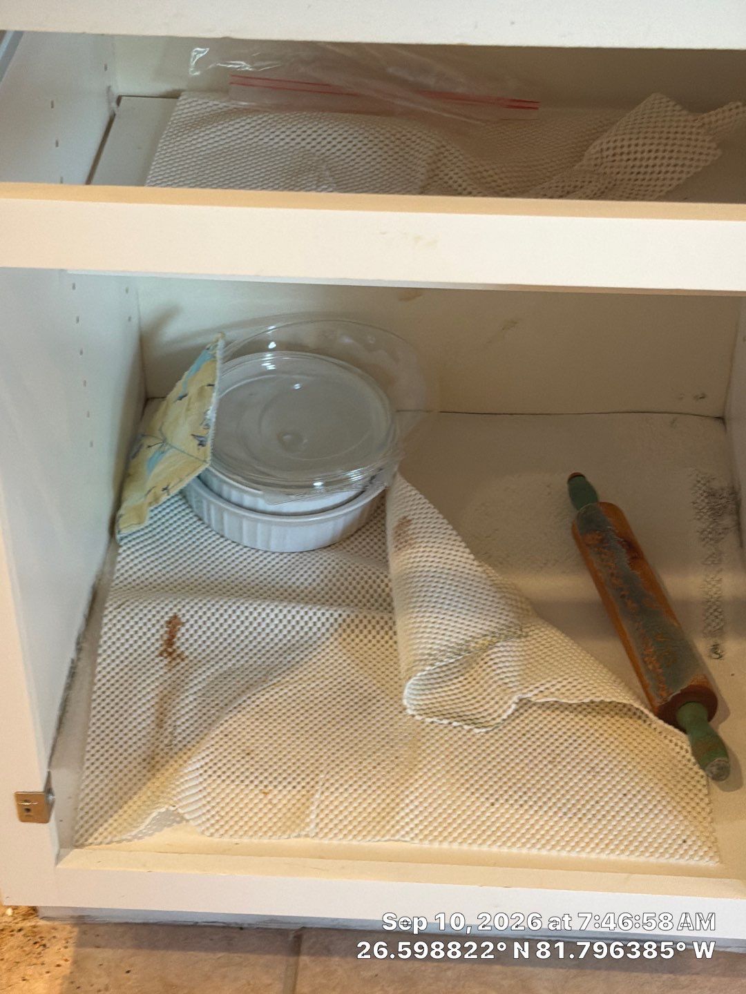 Fort Myers Water Damage Restoration and Professional Mold Remediation by Microscope