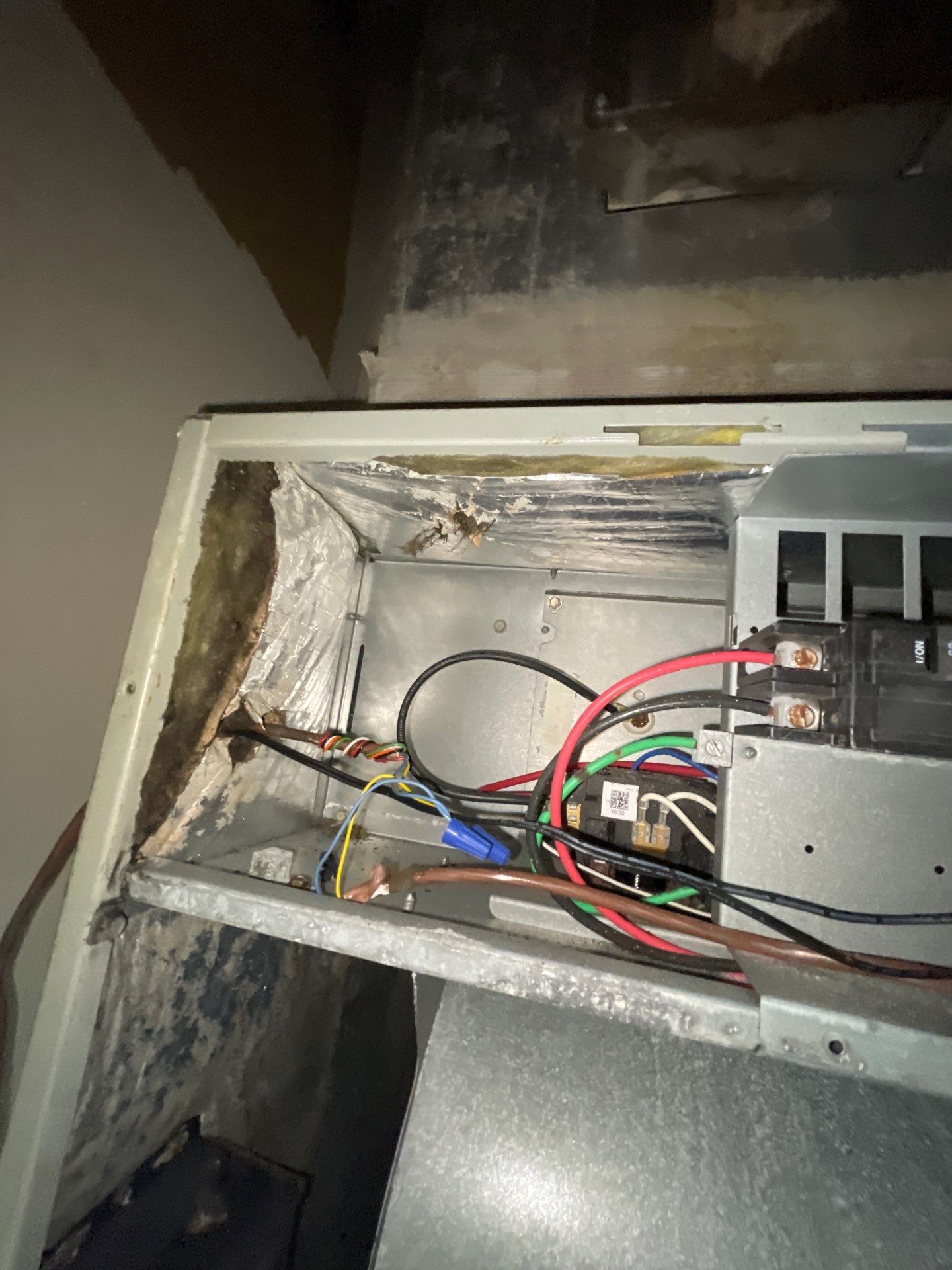 Commercial Air Duct Cleaning in Tavares by Hygienic Air, Inc