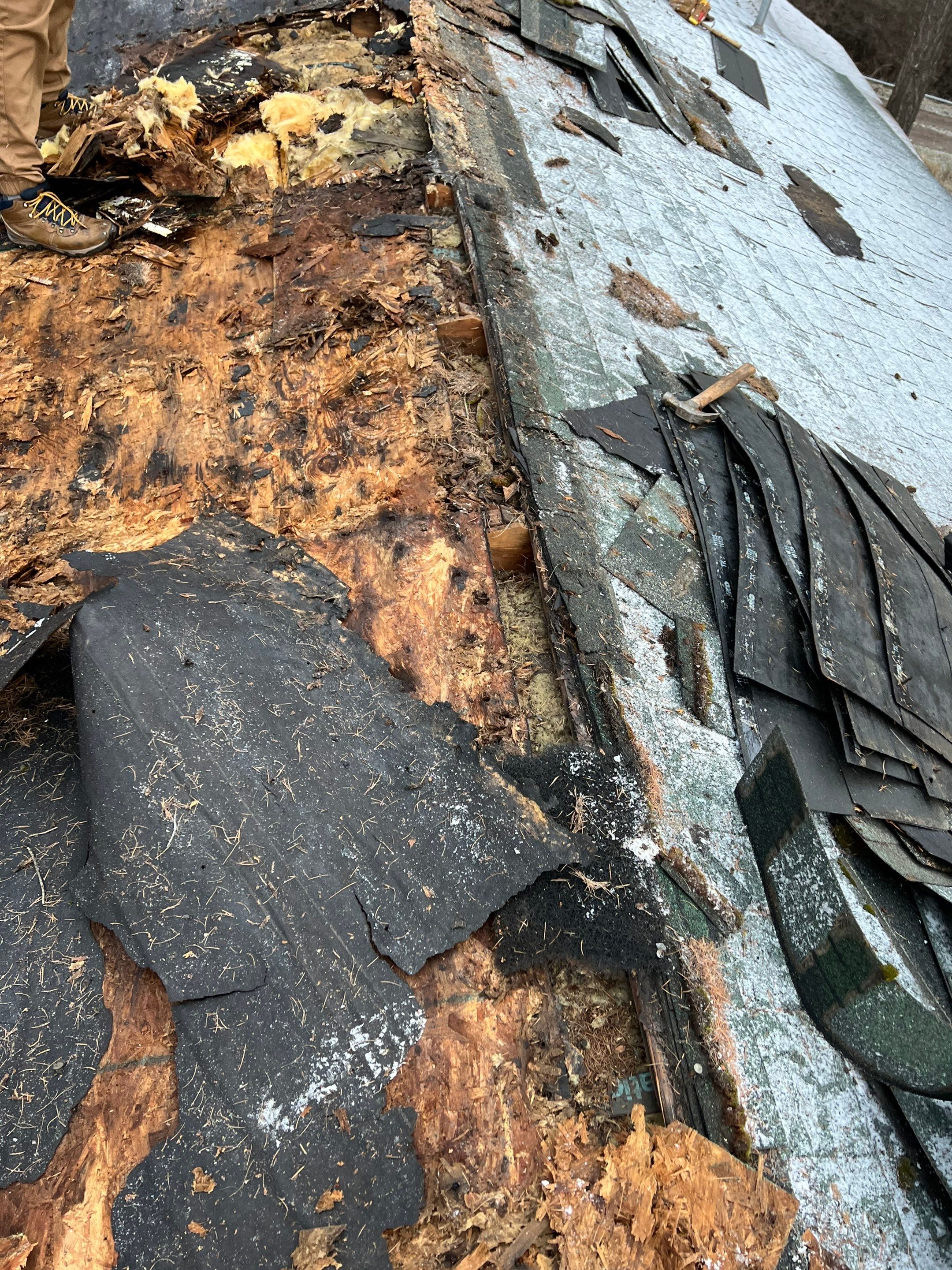 GAF Timberline HDZ - Hunter Green by Montana Roofing Solutions