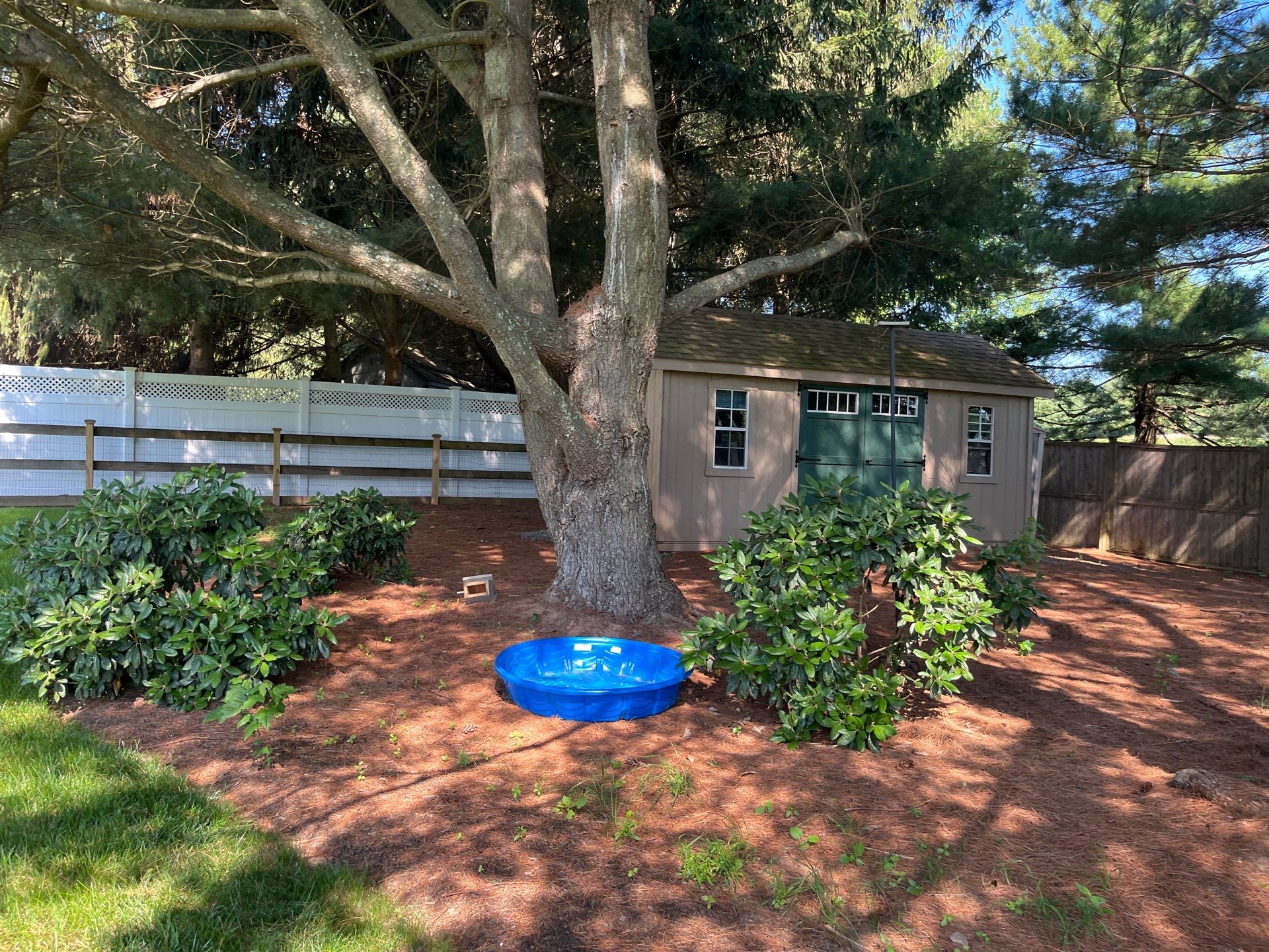 Comprehensive Ornamental Shrub Care in Peapack by Ants Plants