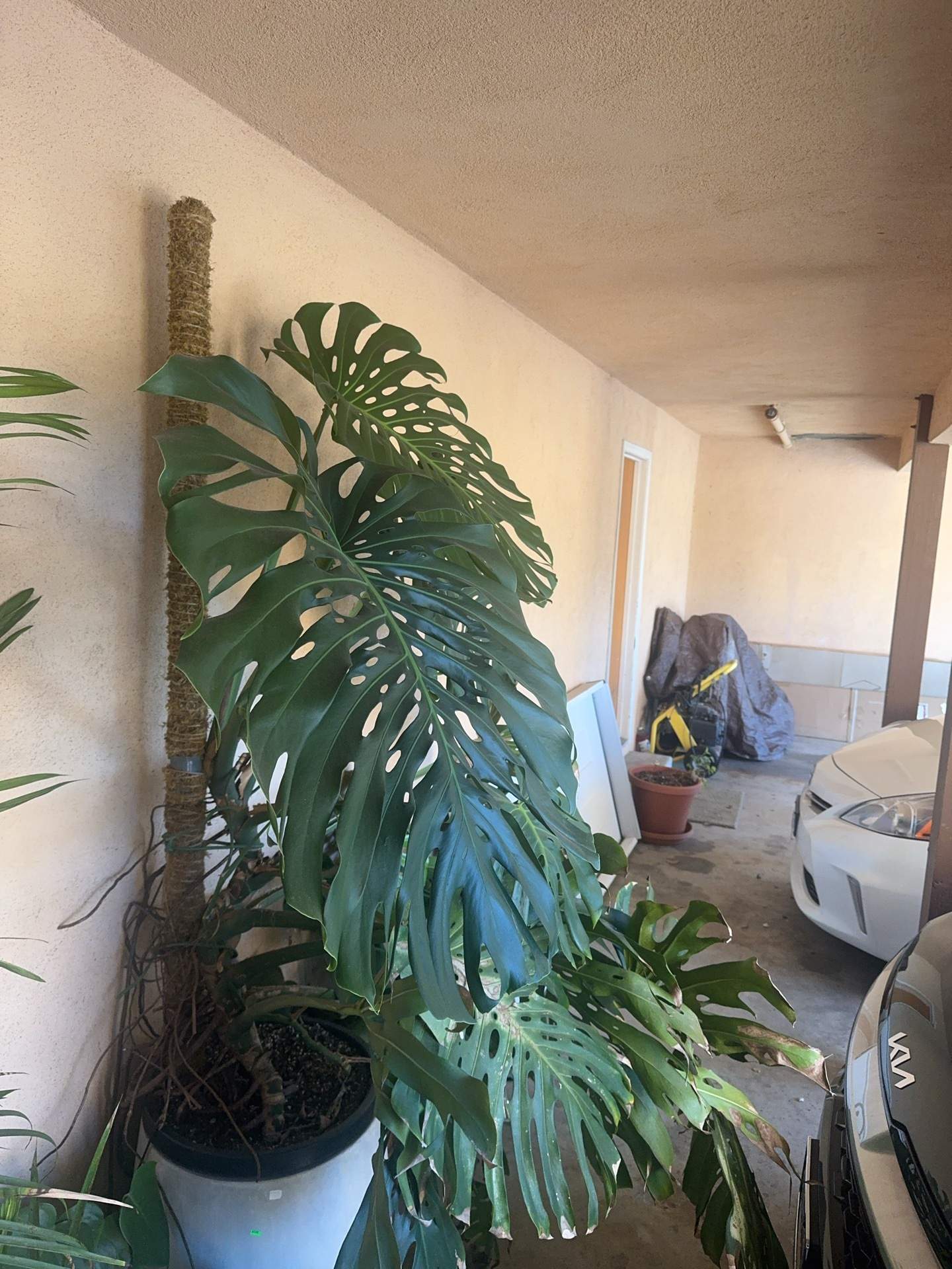 Solar Panel Installation and Vinyl Fence Replacement in Los Angeles by CompanyCam