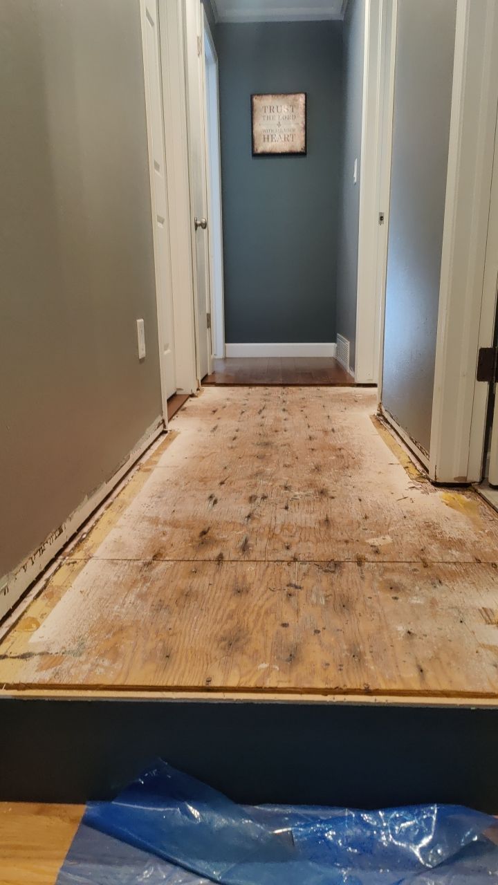 Water Damage  by Accountable Home Services