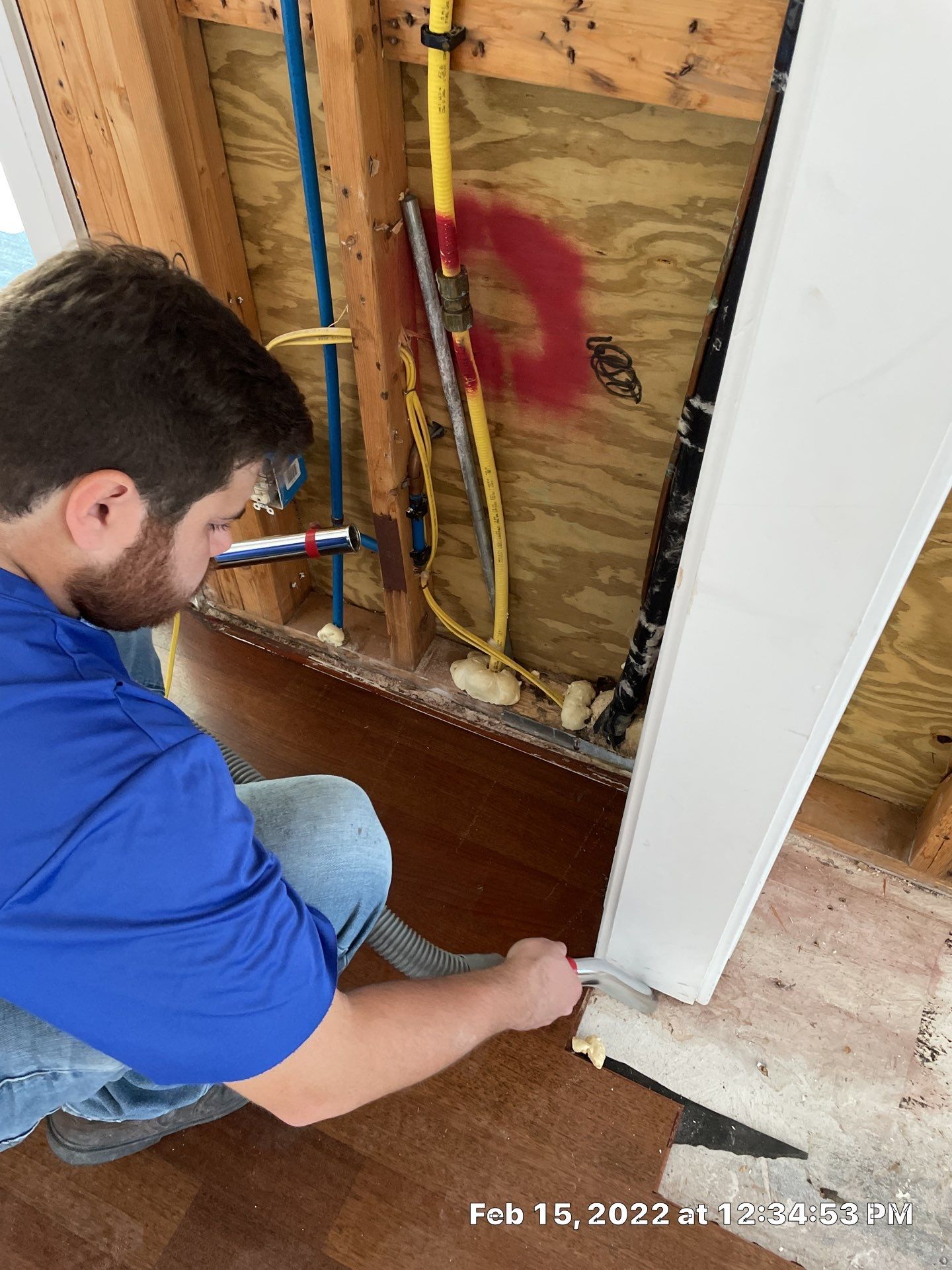 Luxury Home - Owners find termites and need interior selective demo, prior to repairs. by EAS Environmental, LLC.