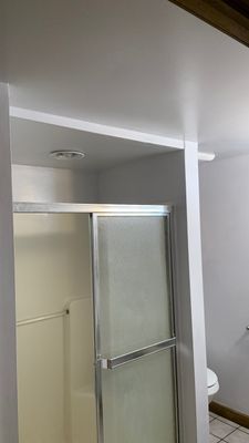 Ceiling & Shower Repair
