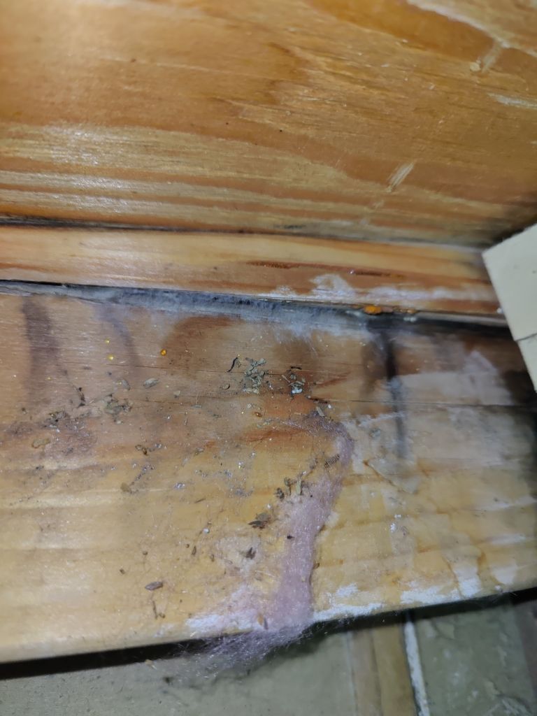 Water Damage by Accountable Home Services