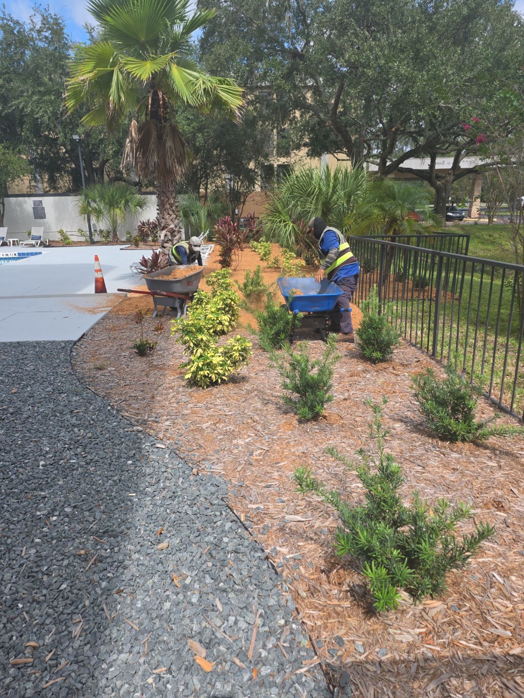 Marriott Hotel | Mulch Refresh by ProGreen Services