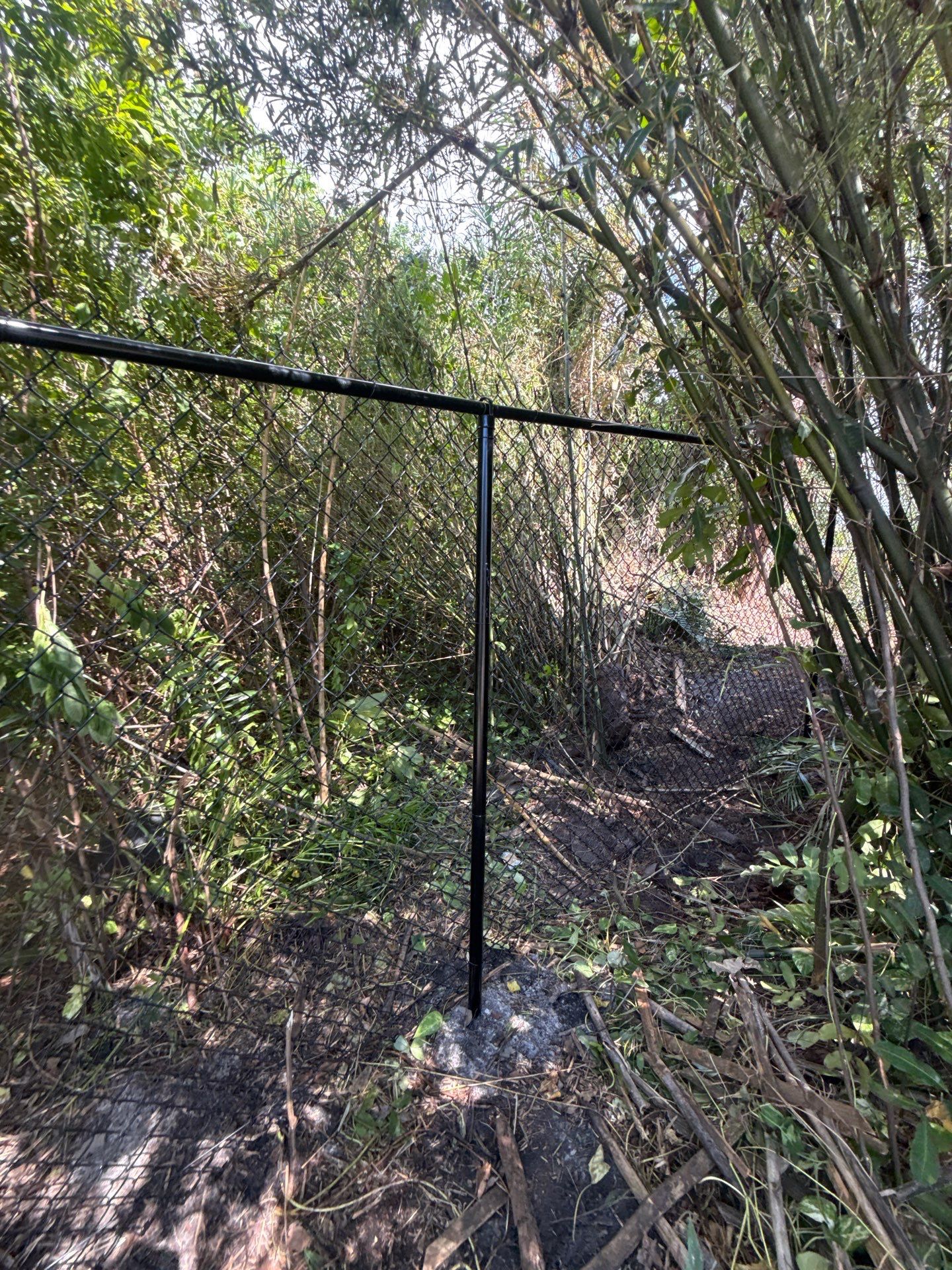 Black Chain Link Fence Installation and Site Clearing in Nokomis by True Fence LLC