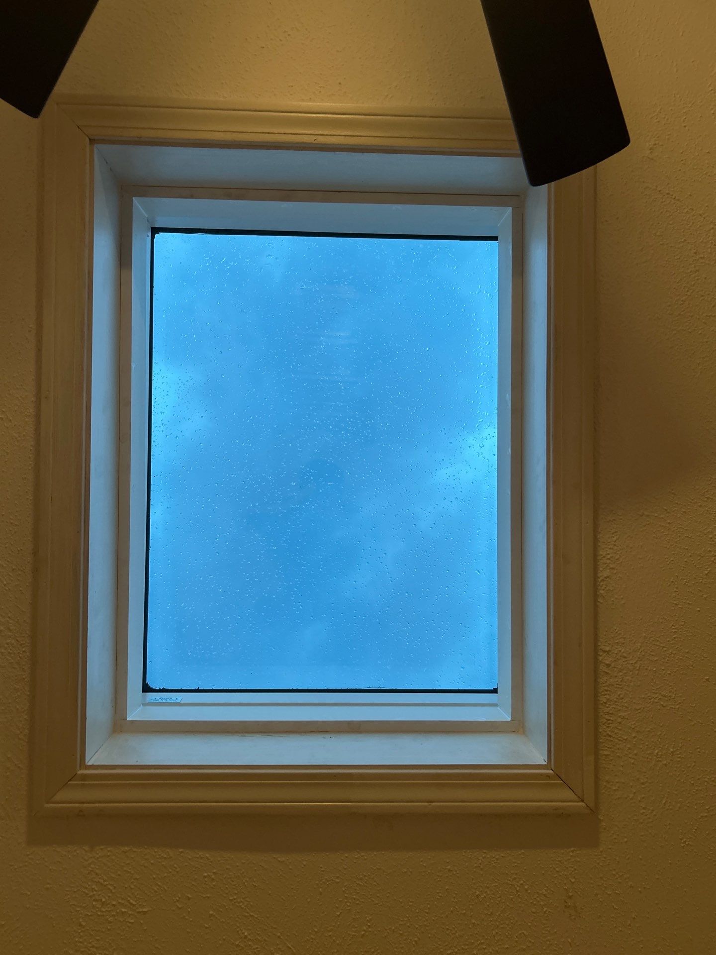 Flat Roofing & Skylights | Westford by Mighty Dog Roofing of Greater Middlesex County