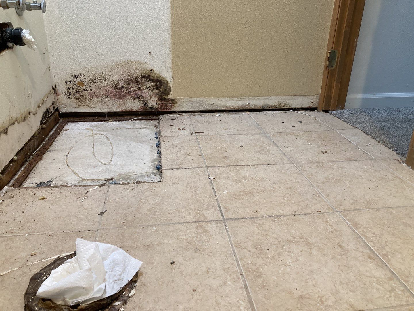 Mold Remediation by Accountable Home Services