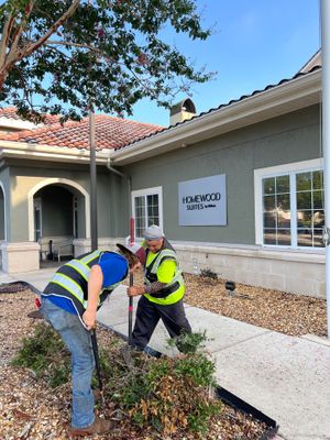 Homewood Suites | Tree Service