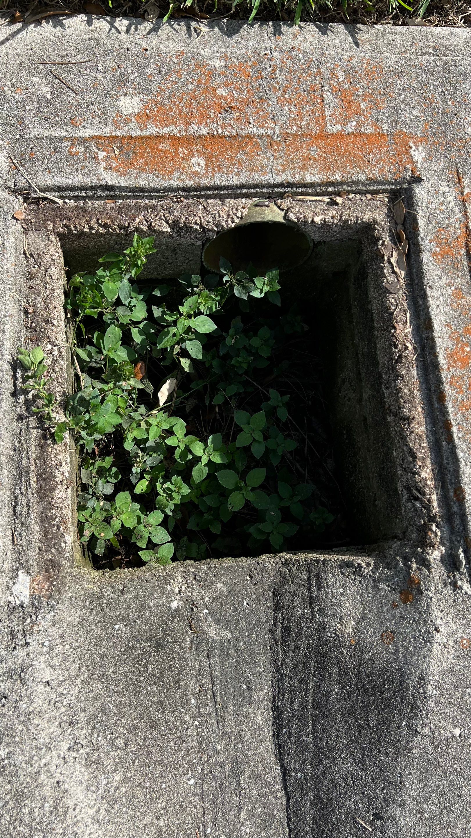 Naples Private Airport Community Catch Basin Cleaning by APS Power & Water