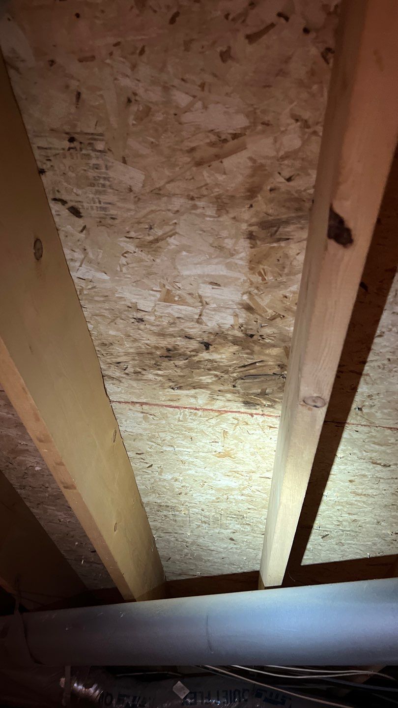 Mold Damage by Accountable Home Services