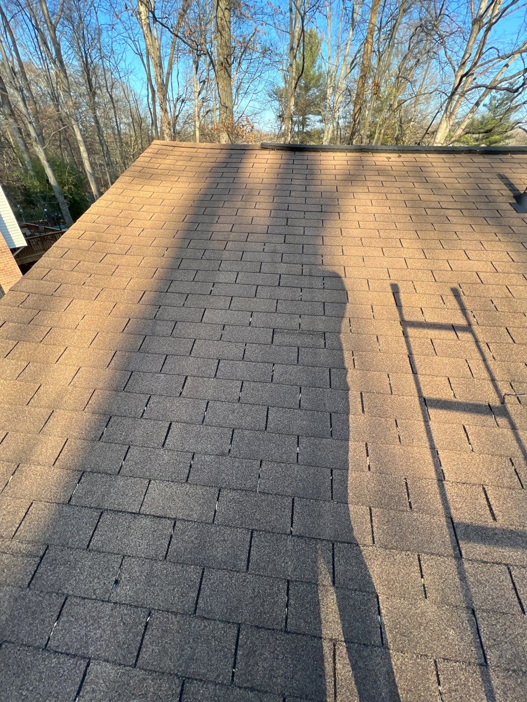 Springfield: CertainTeed Landmark Pro Designer Shingles in Max Def Pewterwood by RM Banning, Inc.