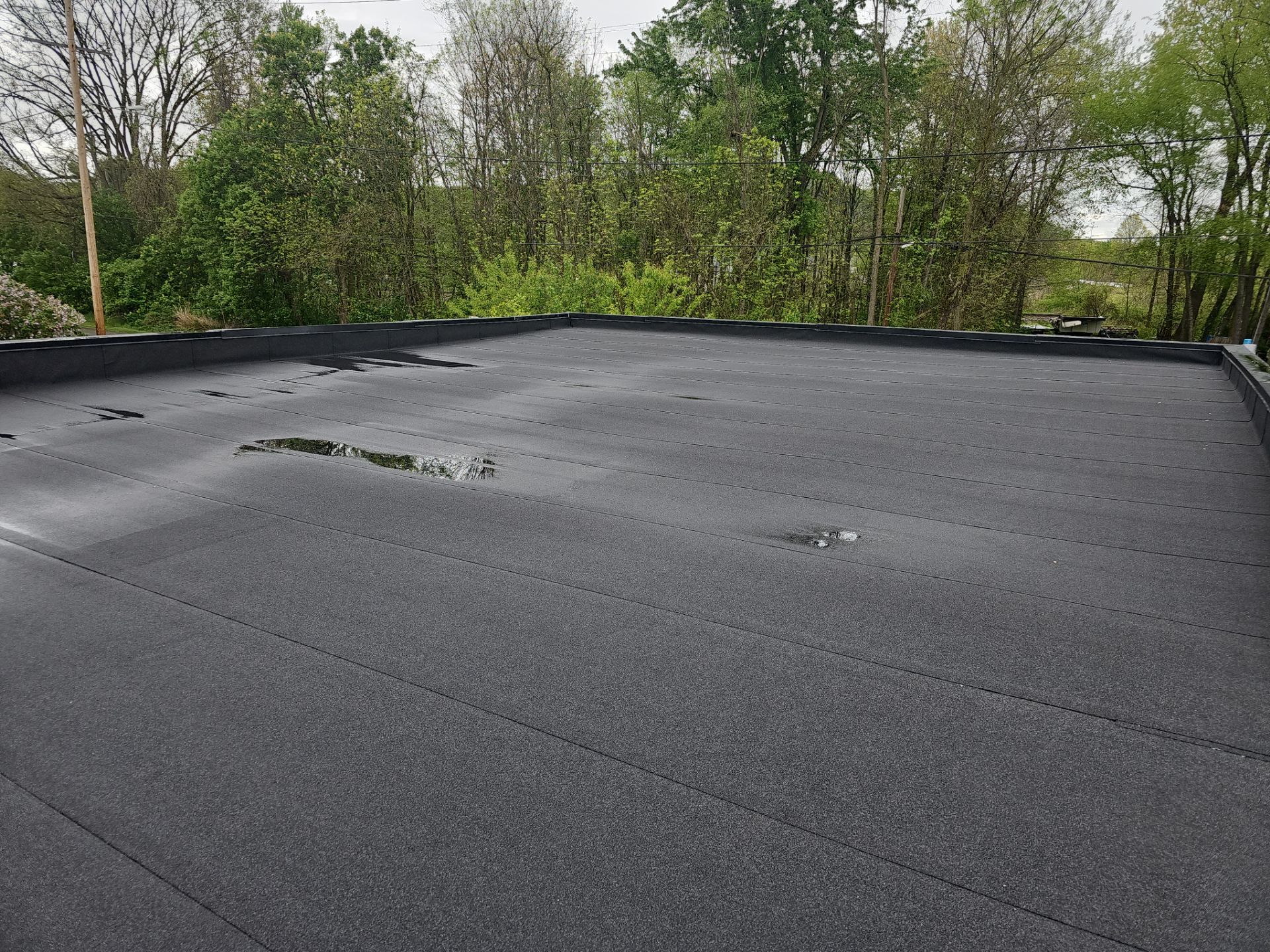 Anthony Harbold by Silver Leaf Contracting 