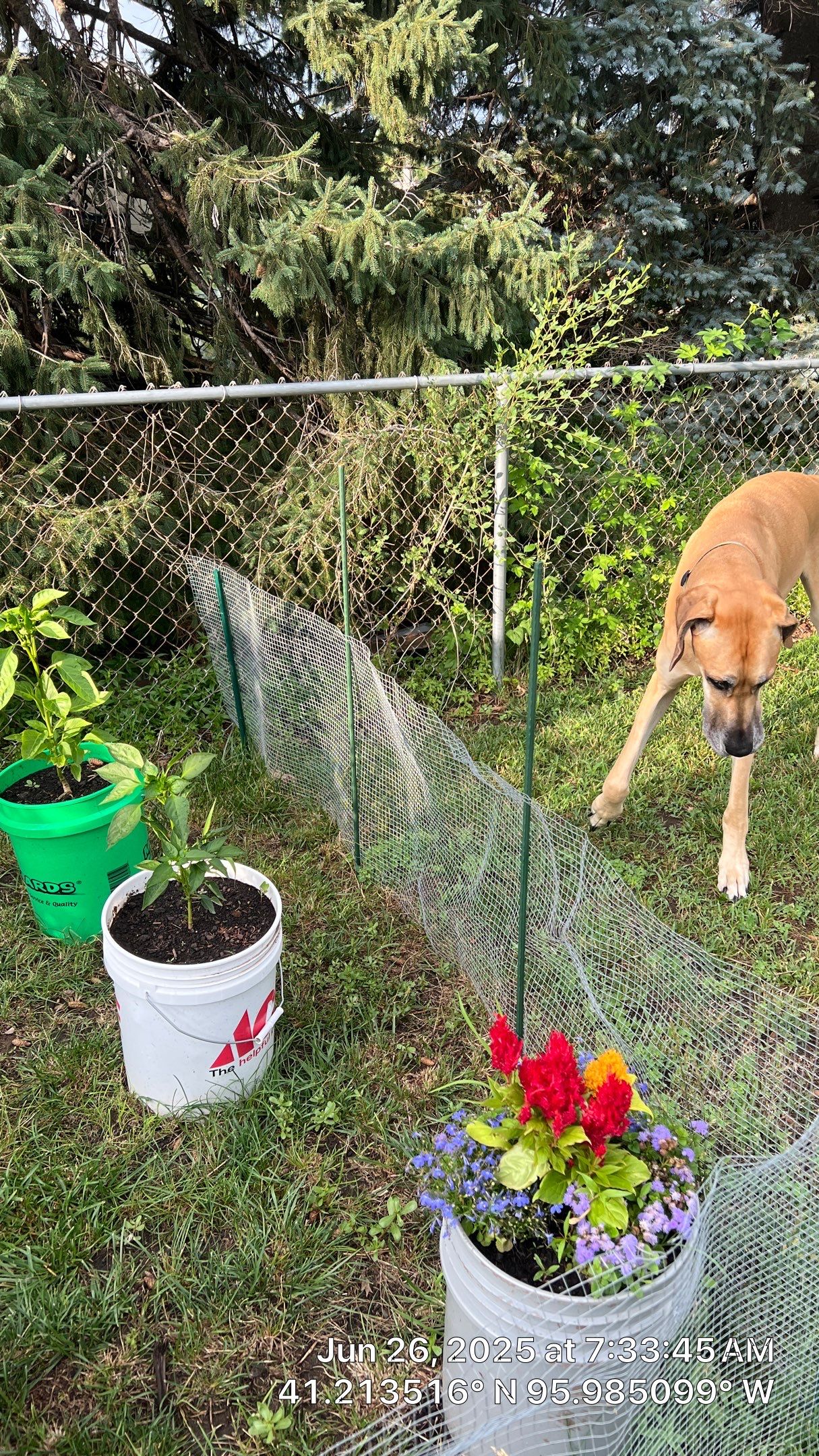 Basement Remodel using Paint by Customer Success Demo Account