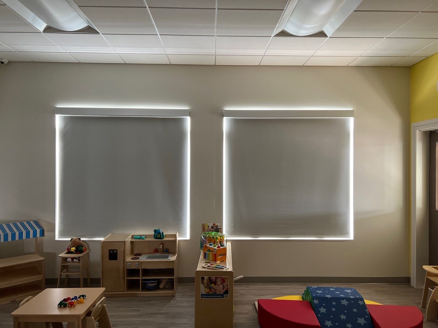 Commercial Window Coverings using Screen Shades by Hunter Douglas Architectural by Custom Blinds & Design
