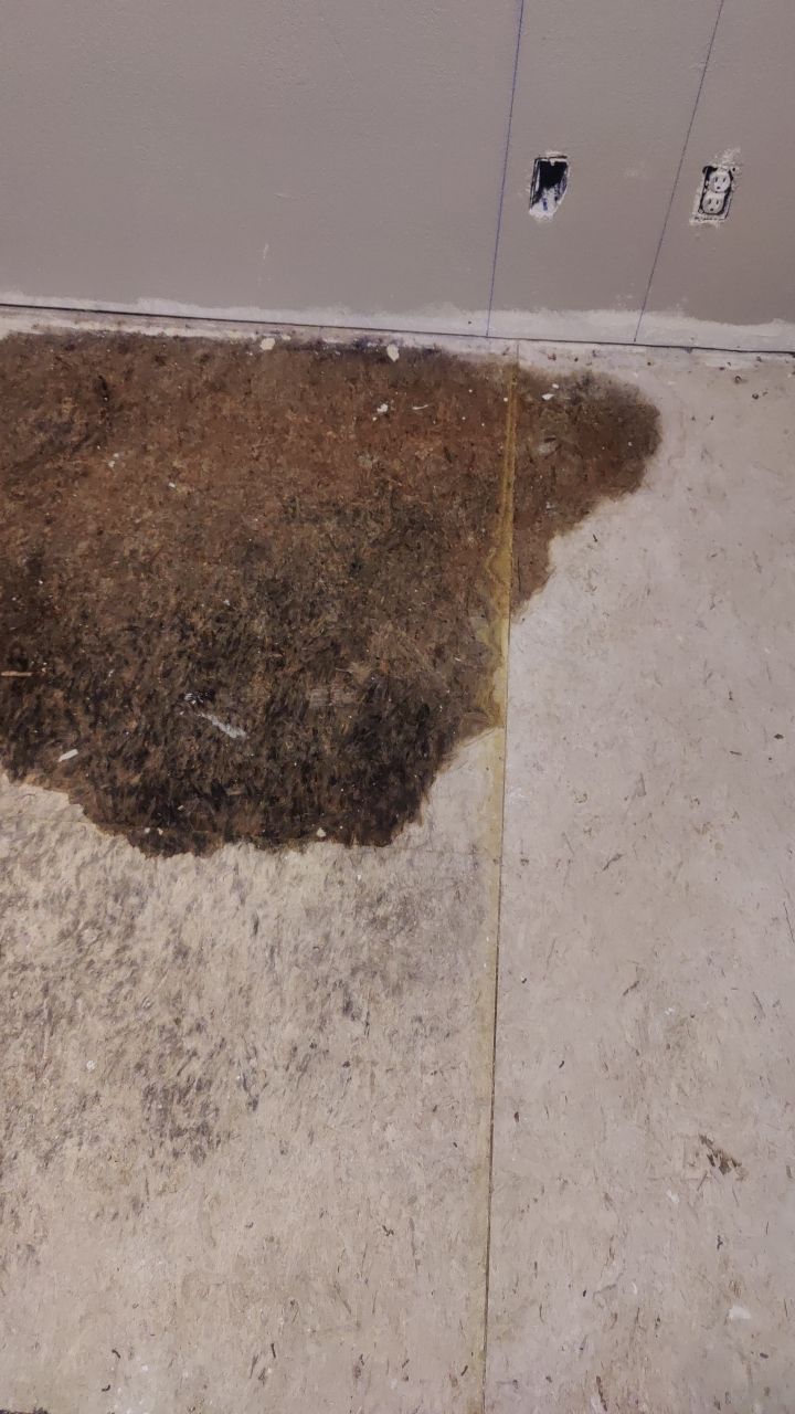 Water Damage Restoration by Accountable Home Services