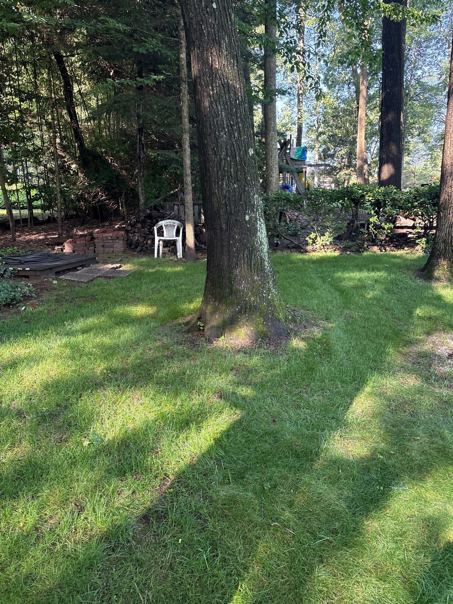 East York Pa by Go Green CLC