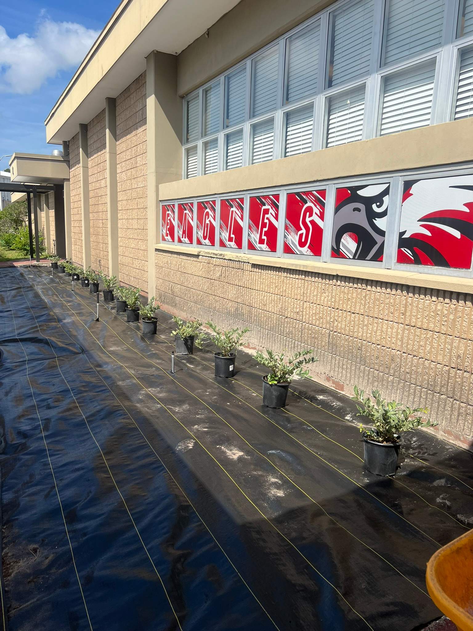 Landscape Install | Wilkinson JHS by ProGreen Services