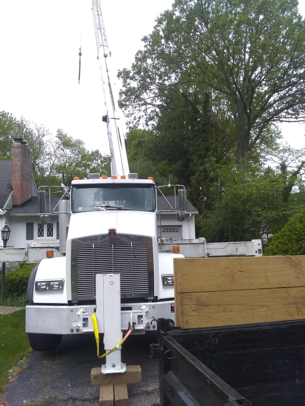 Tree Removal using Tree Removal by Mike Jones & Sons Tree Service LLC 