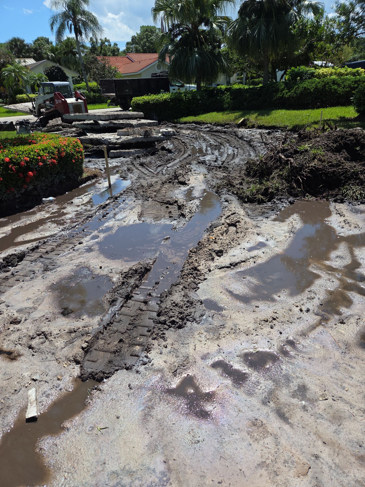 🌴 “Harbour Ridge Haven – A Tropical Revival by Alpha Zeta Landscapes” by Alpha Zeta Enterprises Inc