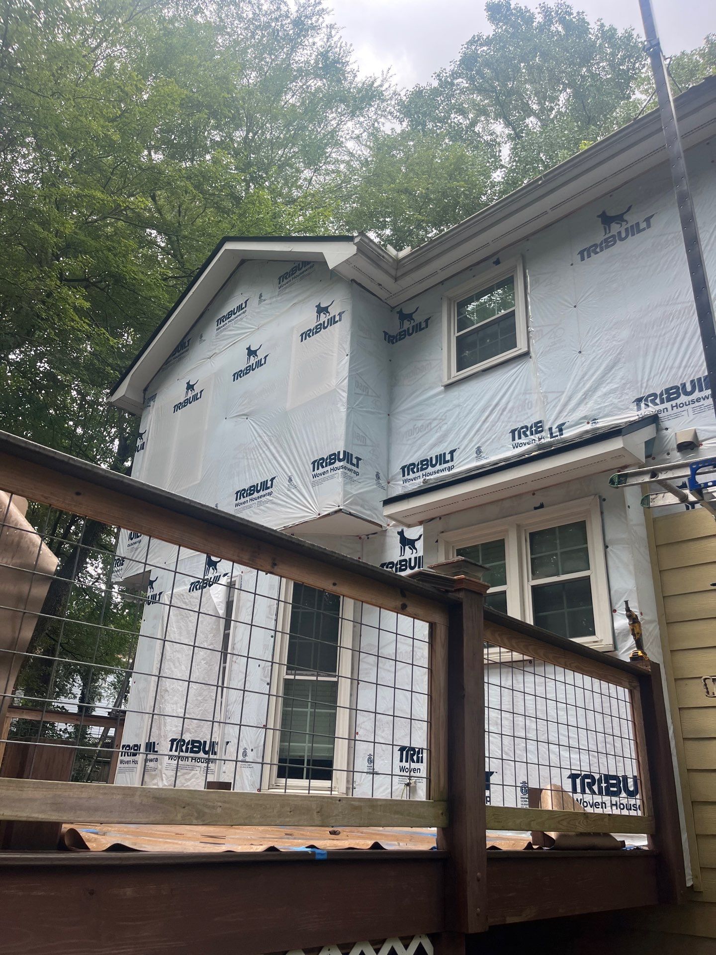 Siding, Rotten Wood, and Lattice Replacement with Exterior Painting by Nelson Exteriors 