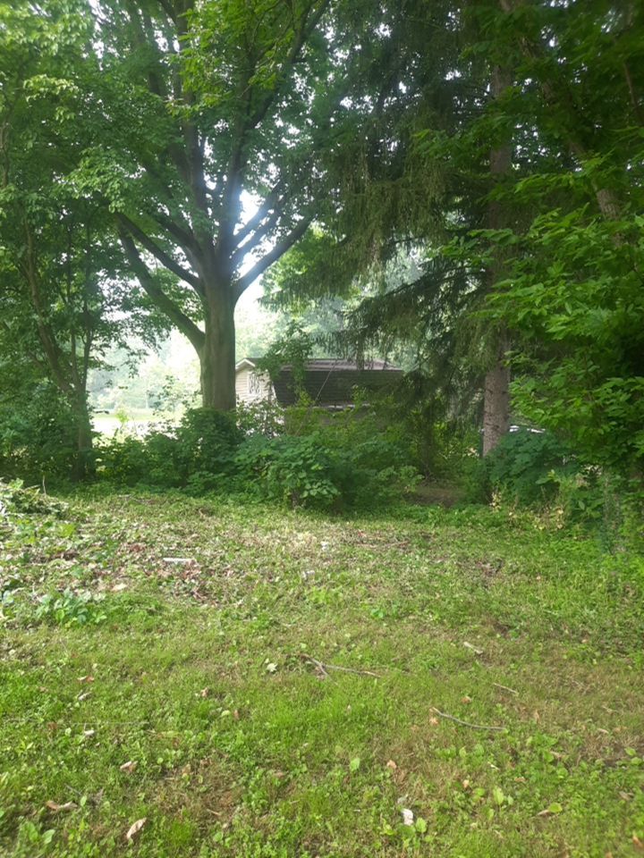 Tree Removal using Tree Removal by Mike Jones & Sons Tree Service LLC 