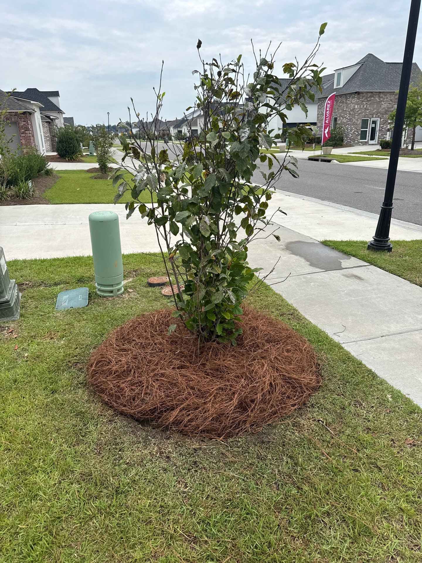 RESIDENTIAL LAWN MAINTENANCE & LANDSCAPE SERVICES by CutScape, LLC.