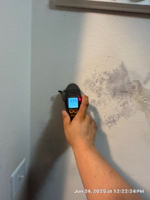 Water Damage Restoration In Sarasota