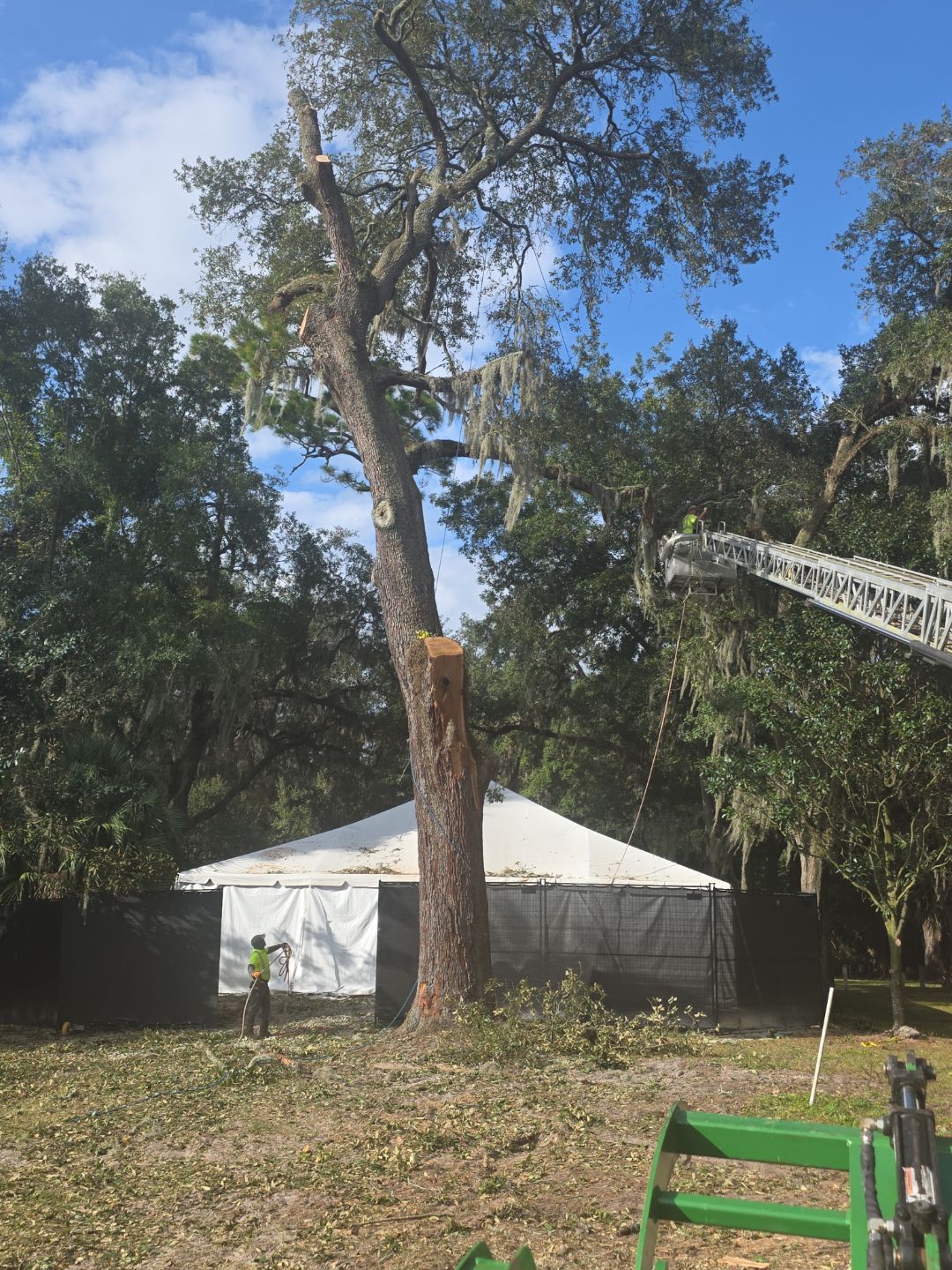 Episcopal | Large Tree Removal by ProGreen Services