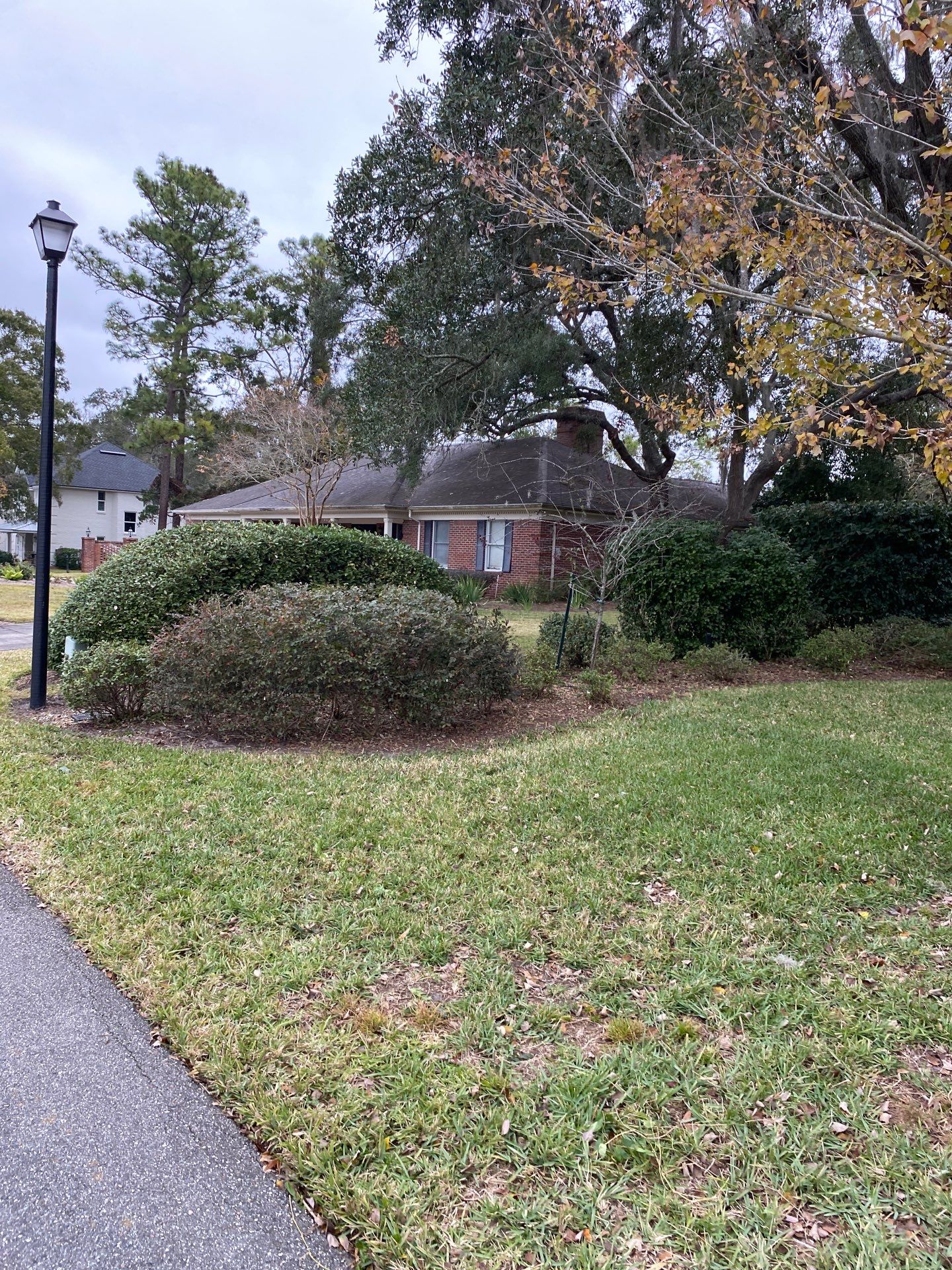 Deerwood Resident | Extreme Cleanup by ProGreen Services