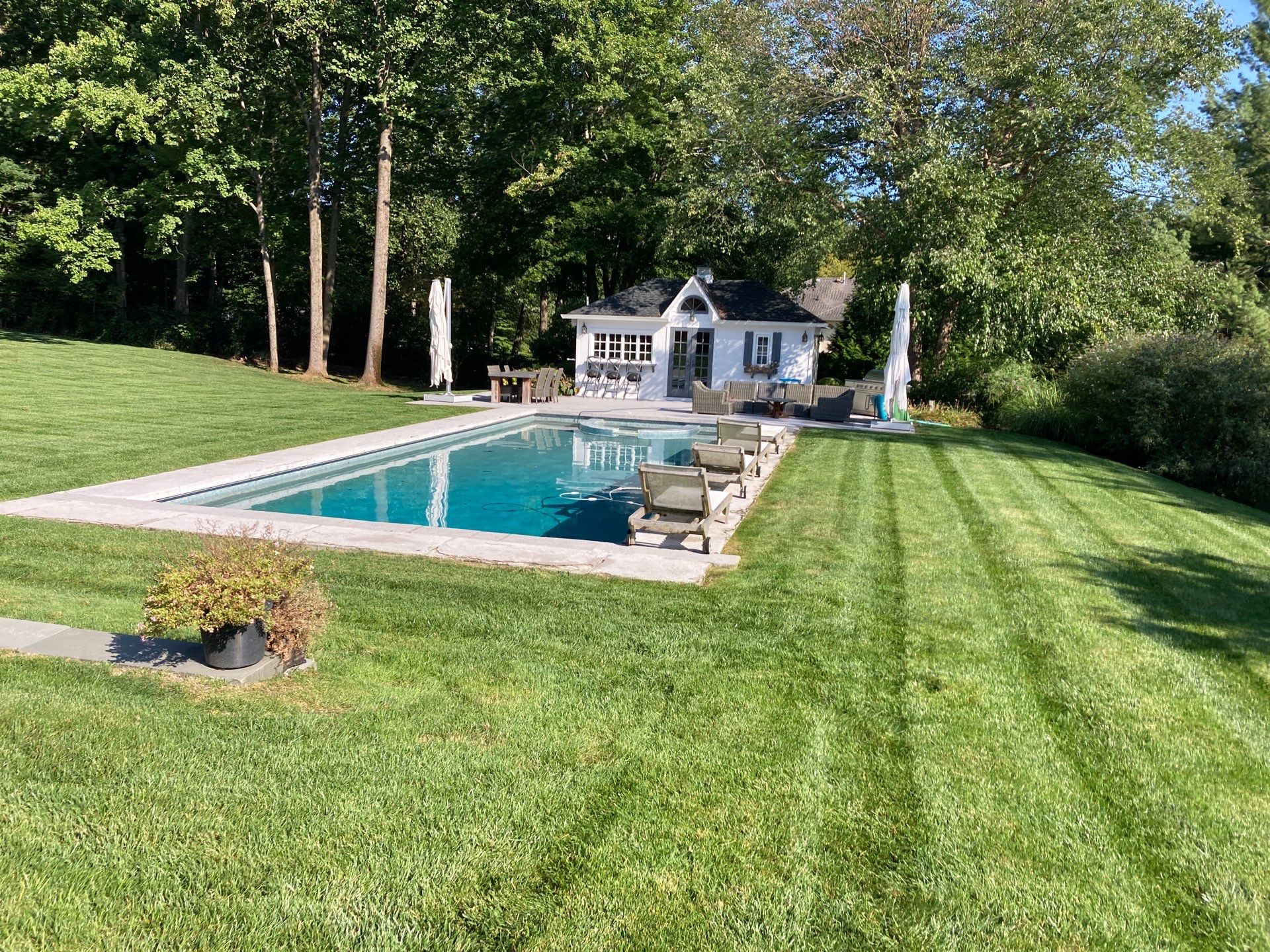 Comprehensive Lawn Care in Warren by Ants Plants