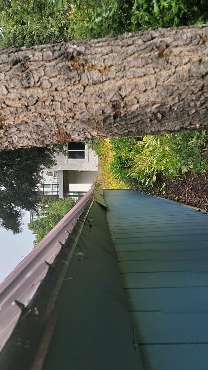 Building Expert Report ā Structural Damage from Heavy Snow Load by ASAP Roofing & Exteriors