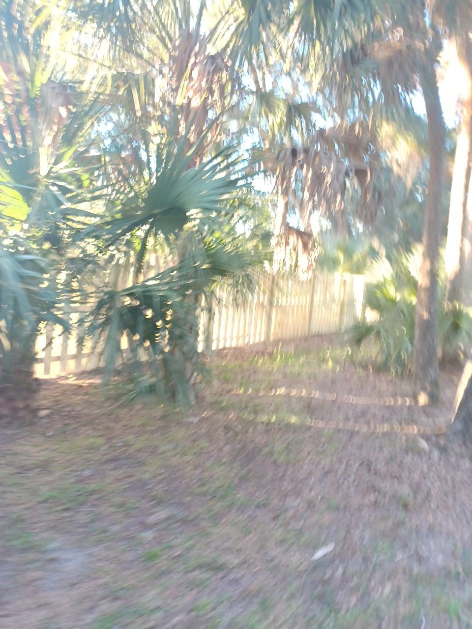 Sarasota, FL 4ft. Tall 3-Rail Aluminum Fence by Asap fence and gates, LLC