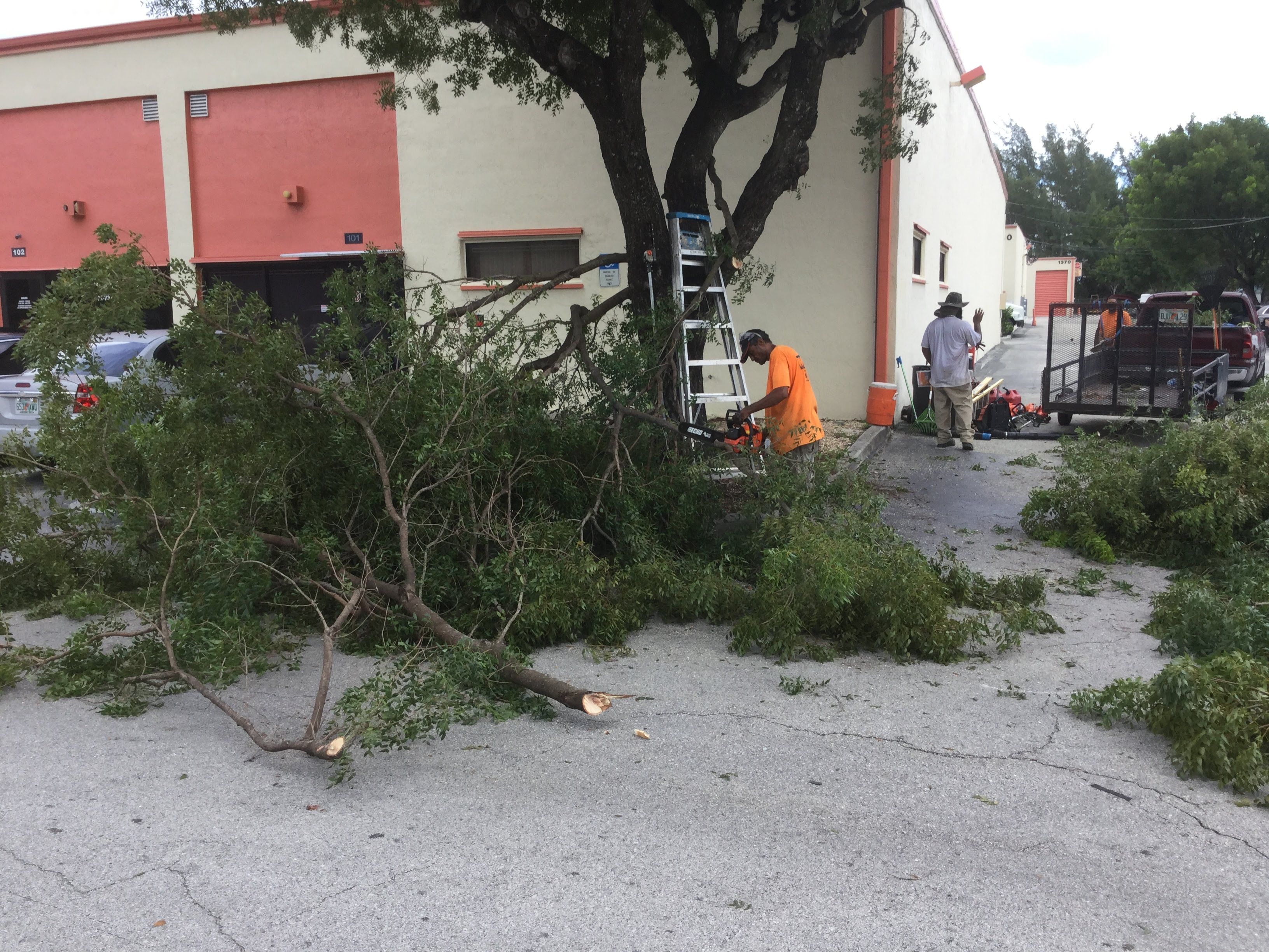 Commercial Tree Trimming & Debris Removal by
M.A.B. Landscaping & Property Maintenance