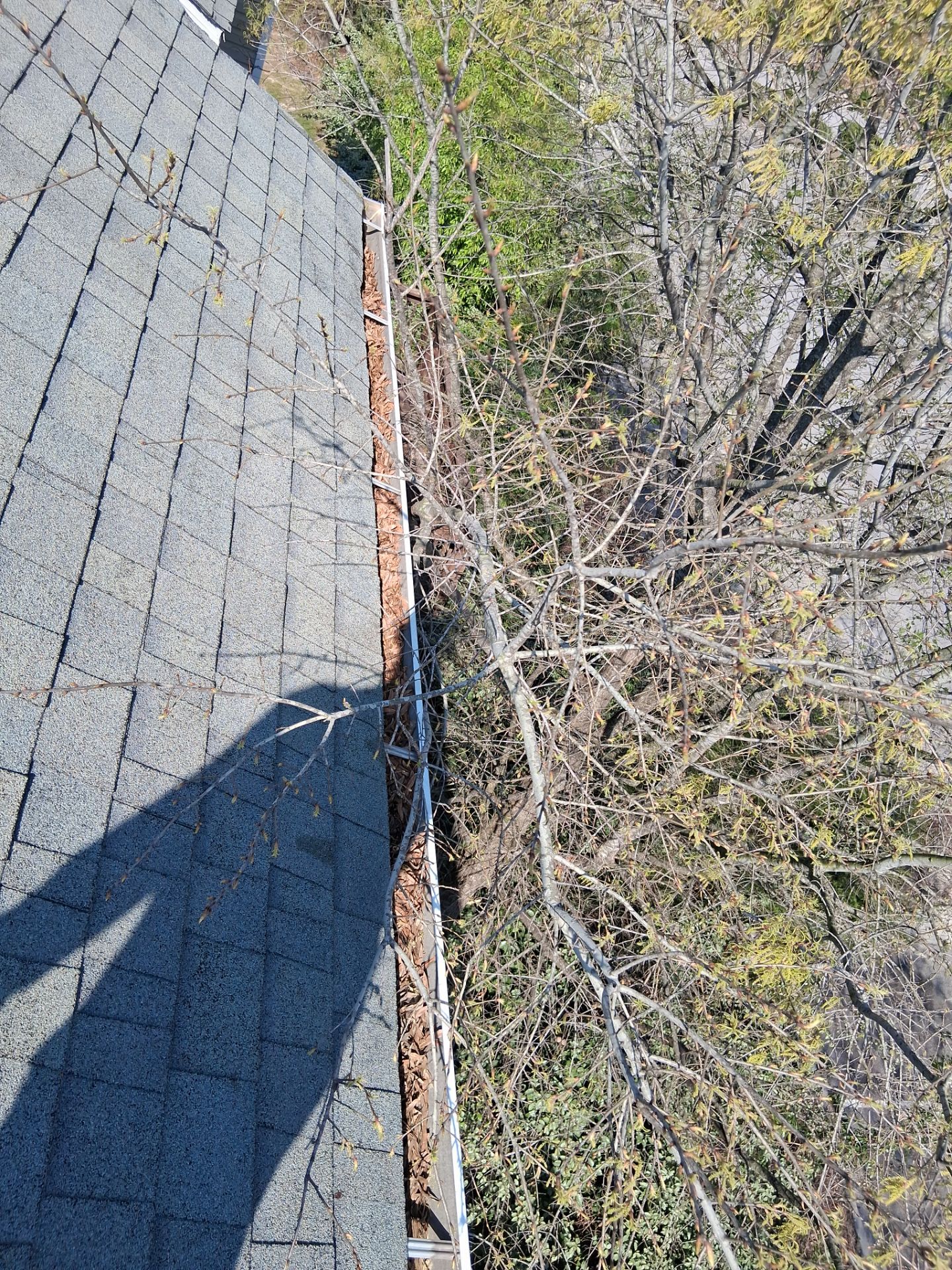 Commercial gutter cleaning South Carolina before photo with filled gutters