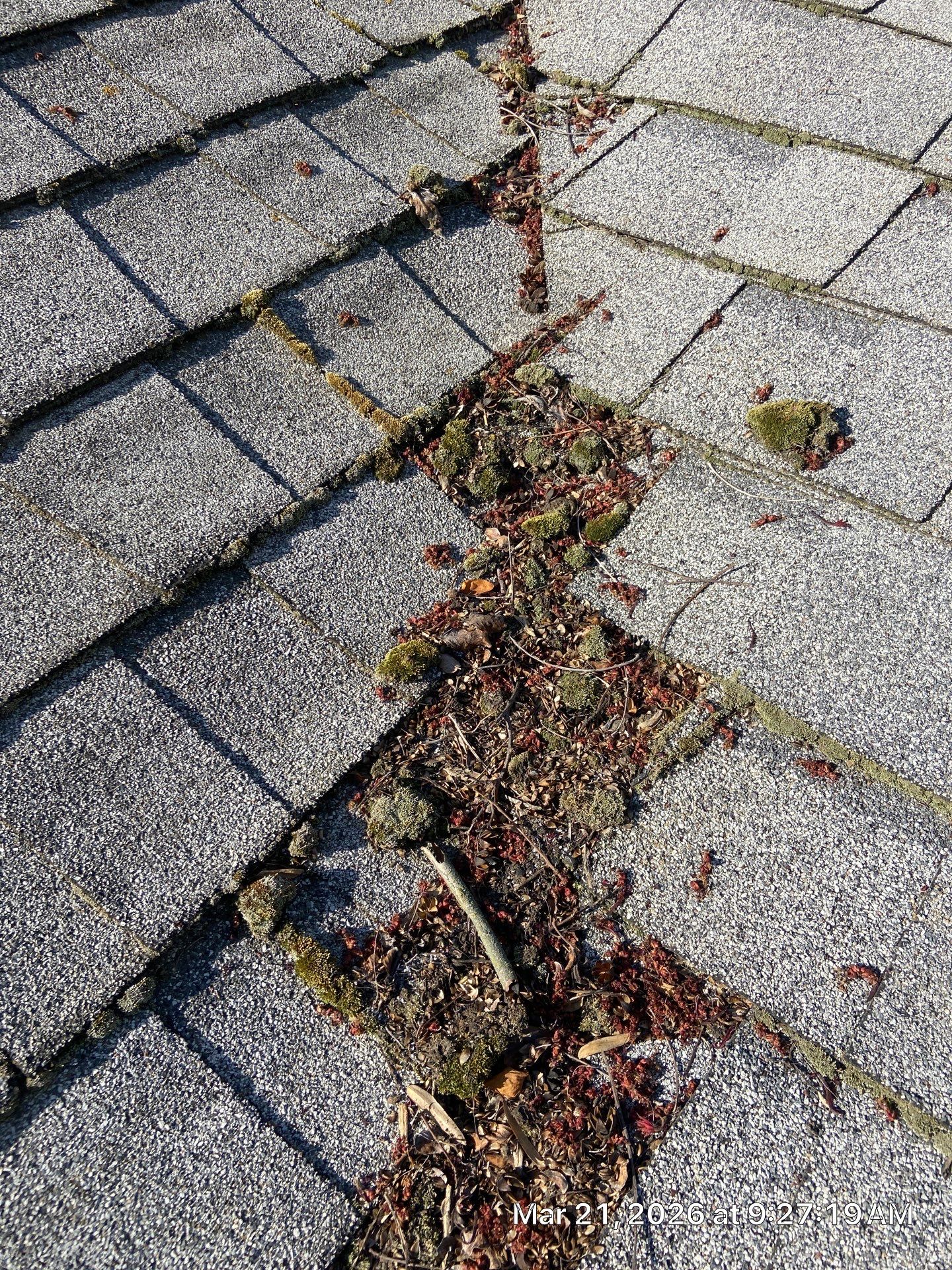 Roof Rejuvenation using Roof Maxx Treatment by Roof Maxx of Folsom