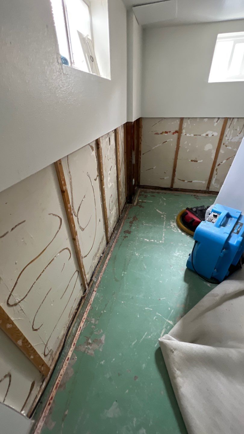 Mold Remediation by Accountable Home Services