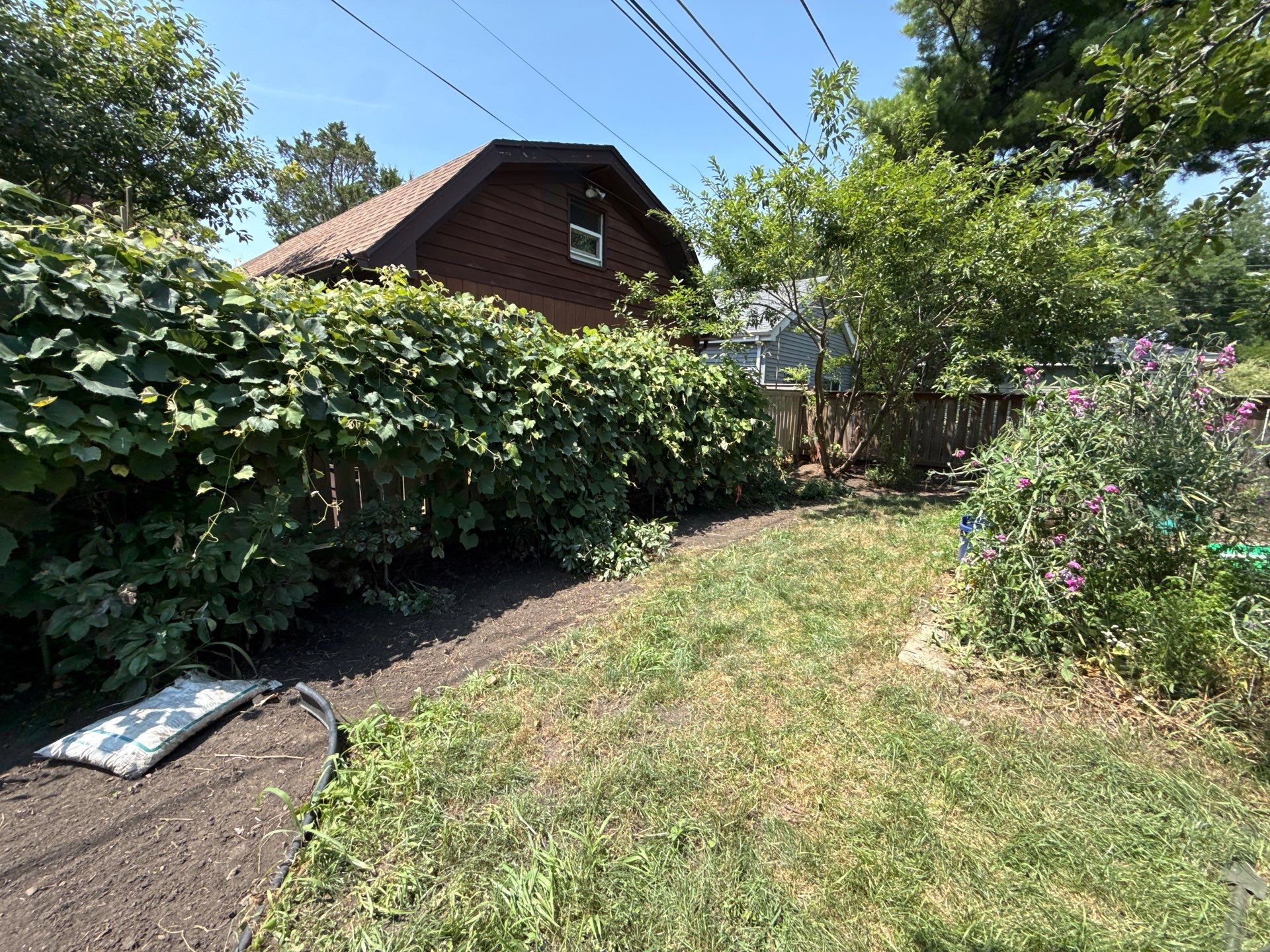 Donna L. - Arlington Heights, IL by A&N