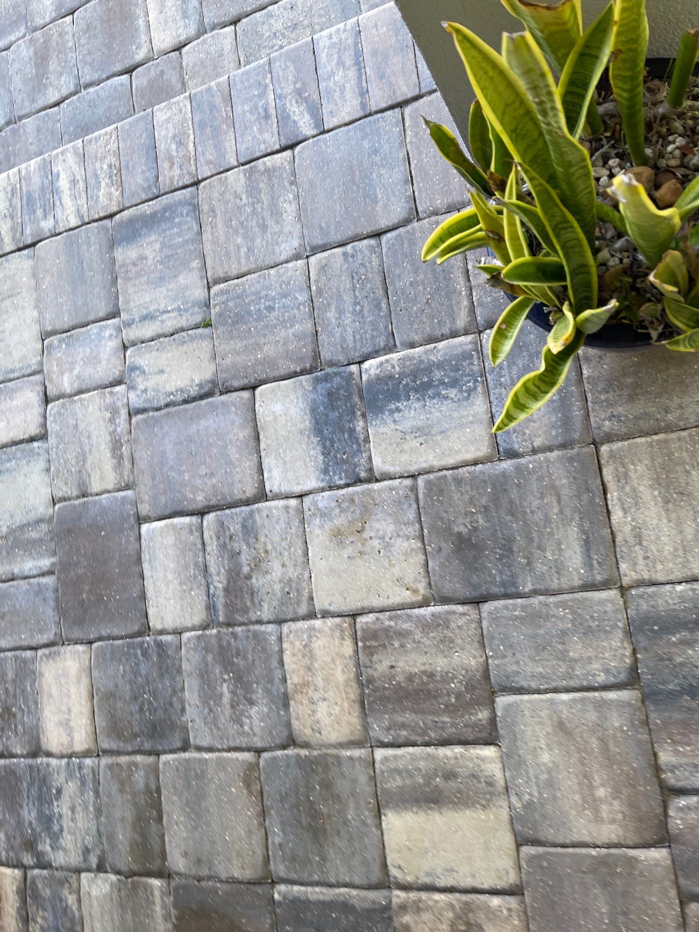 Pavers using Concrete Sealant by DuraSeal