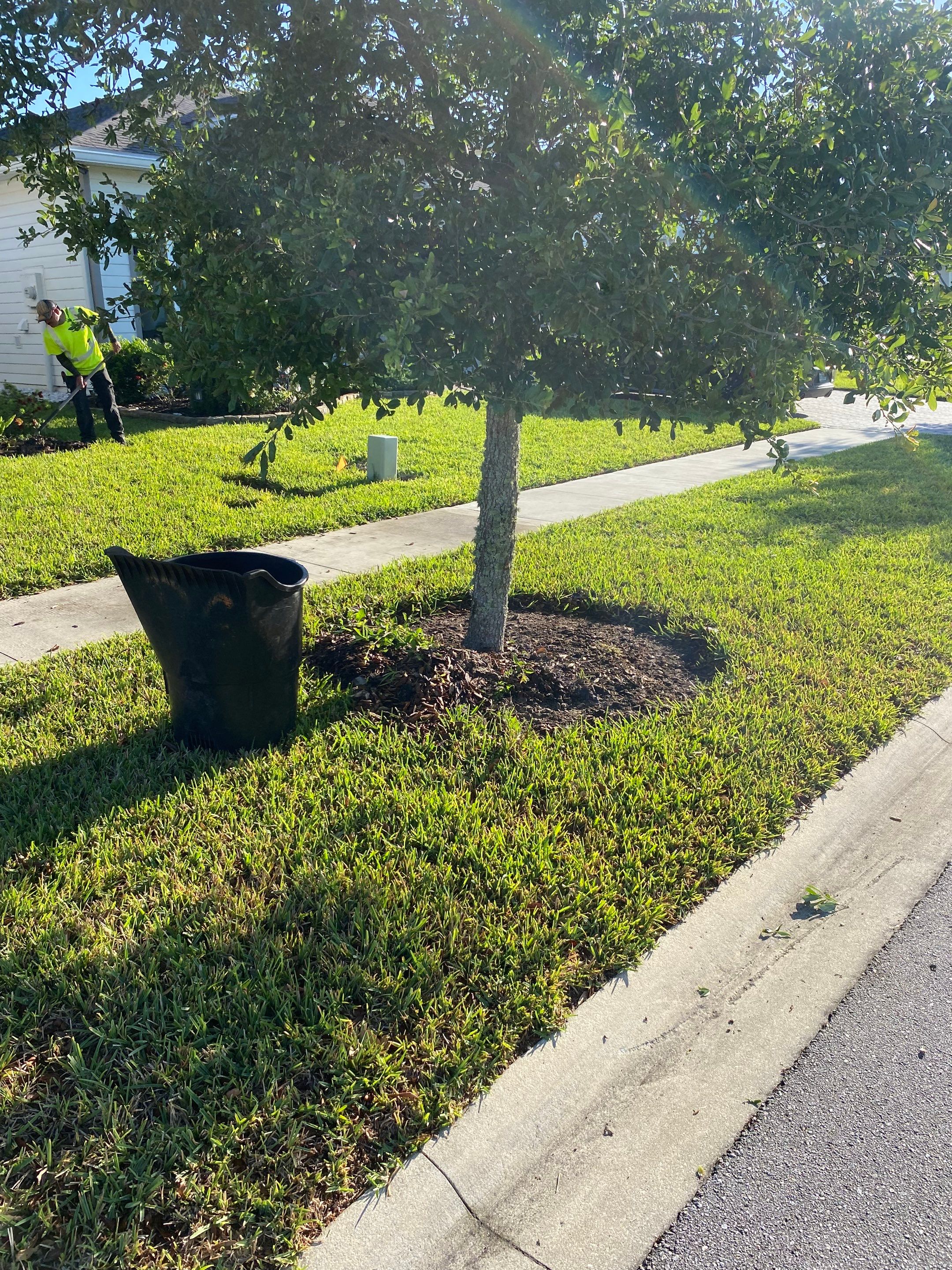 Residential | Clean-up, Sod and Rock Installation by ProGreen Services