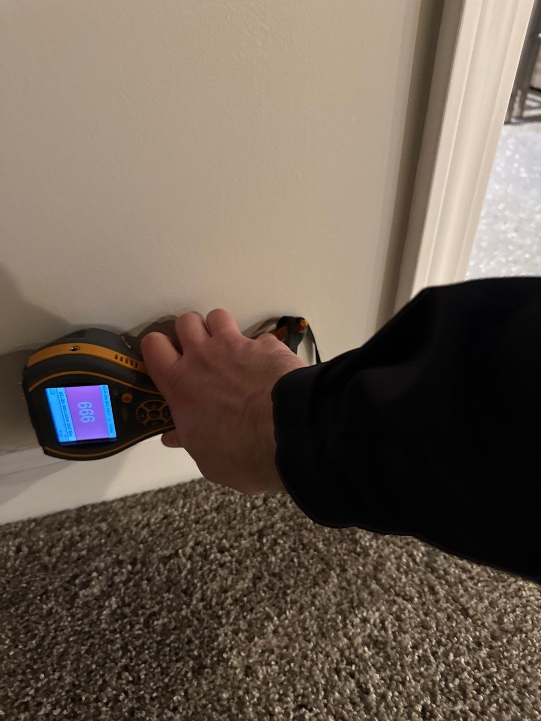 Project in Royal Oak by EzDry Water Mitigation & Property Restoration